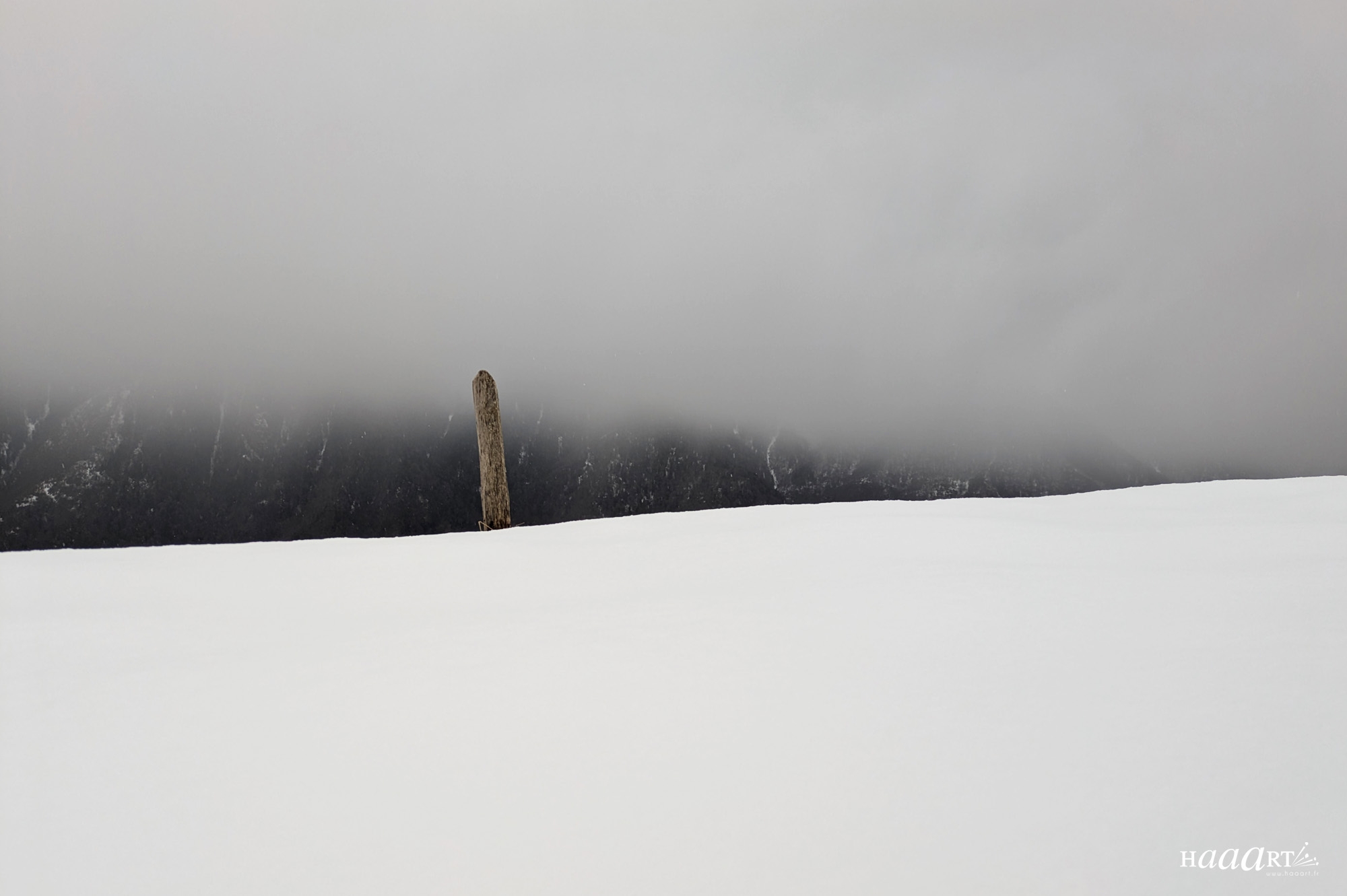 Un piquet dans la neige