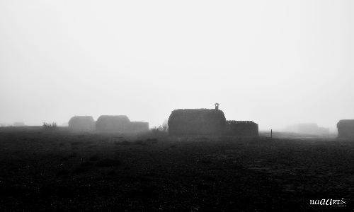 Cabanes dans la brume