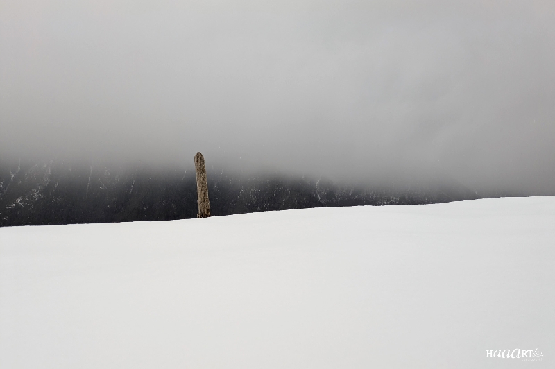 Un piquet dans la neige
