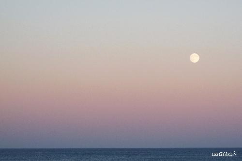 Canet