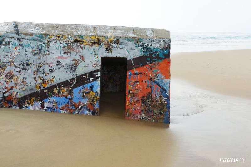 Bassin d'Arcachon