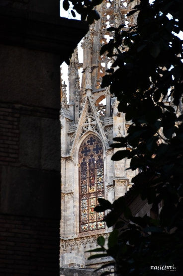 Cathédrale
